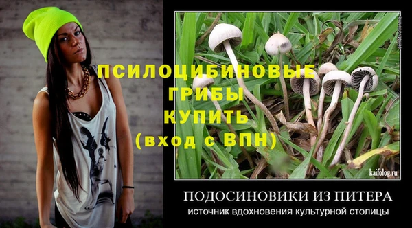 амф Балахна