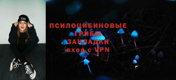 амф Балахна