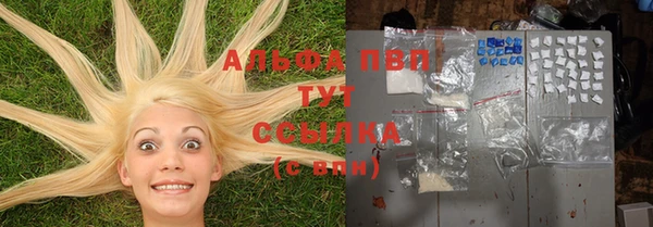 ПСИЛОЦИБИНОВЫЕ ГРИБЫ Армянск