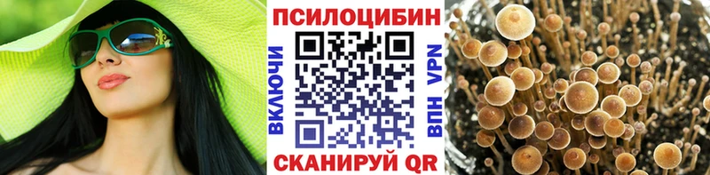 Псилоцибиновые грибы Psilocybine cubensis  Чернушка 